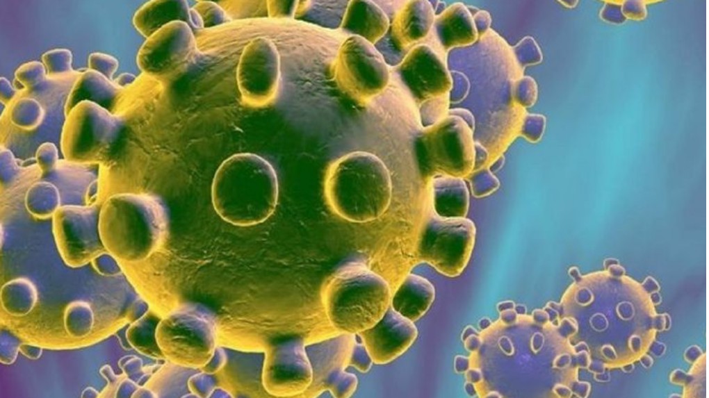 Afb: Informatie over het coronavirus